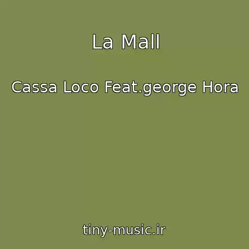 کاور آهنگ La Mall از Cassa Loco Feat.george Hora