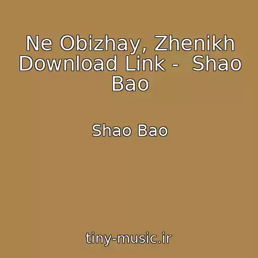 کاور آهنگ Ne Obizhay, Zhenikh Download Link -  Shao Bao از Shao Bao