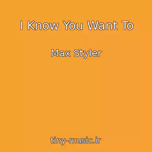 کاور آهنگ I Know You Want To از Max Styler