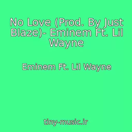 کاور آهنگ No Love (Prod. By Just Blaze)- Eminem Ft. Lil Wayne از Eminem Ft. Lil Wayne