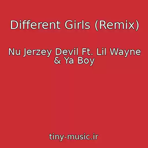 کاور آهنگ Different Girls (Remix) از Nu Jerzey Devil Ft. Lil Wayne & Ya Boy