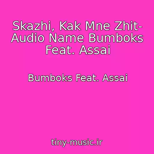 کاور آهنگ Skazhi, Kak Mne Zhit- Audio Name Bumboks Feat. Assai از Bumboks Feat. Assai