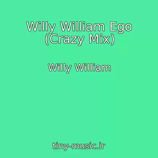 کاور آهنگ Willy William Ego (Crazy Mix) از Willy William