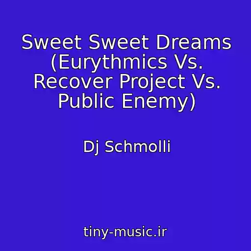 کاور آهنگ Sweet Sweet Dreams (Eurythmics Vs. Recover Project Vs. Public Enemy) از Dj Schmolli