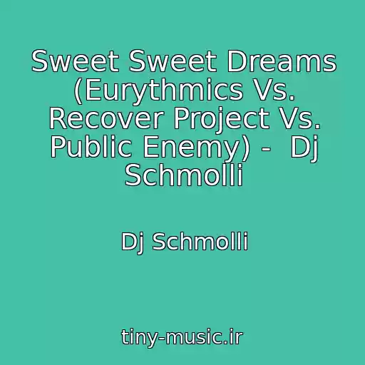 کاور آهنگ Sweet Sweet Dreams (Eurythmics Vs. Recover Project Vs. Public Enemy) -  Dj Schmolli از Dj Schmolli