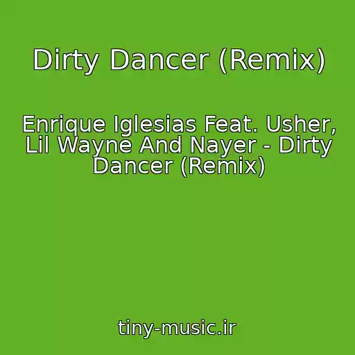 کاور آهنگ Dirty Dancer (Remix) از Enrique Iglesias Feat. Usher, Lil Wayne And Nayer - Dirty Dancer (Remix)