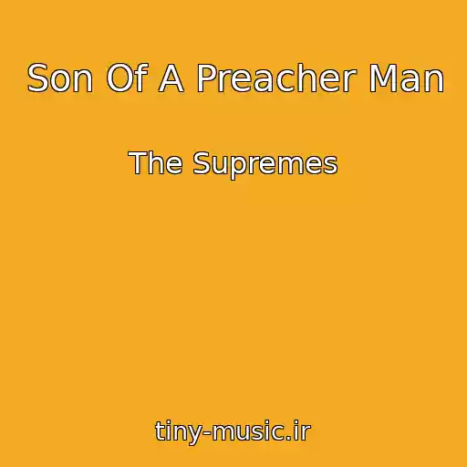 کاور آهنگ Son Of A Preacher Man از The Supremes