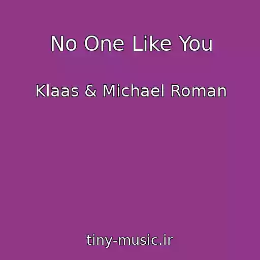 کاور آهنگ No One Like You از Klaas & Michael Roman