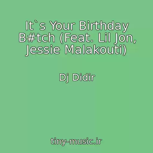 کاور آهنگ It`s Your Birthday B#tch (Feat. Lil Jon, Jessie Malakouti) از Dj Didir