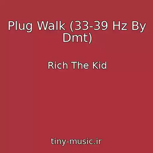 کاور آهنگ Plug Walk (33-39 Hz By Dmt) از Rich The Kid