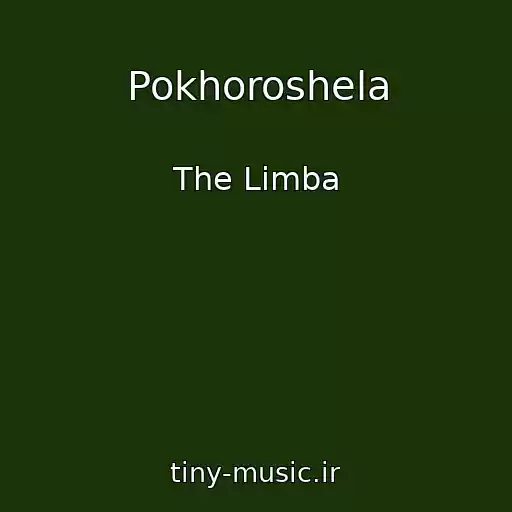 کاور آهنگ Pokhoroshela از The Limba