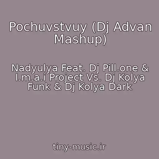 کاور آهنگ Pochuvstvuy (Dj Advan Mashup) از Nadyulya Feat. Dj Pill.one & I.m.a.i Project Vs. Dj Kolya Funk & Dj Kolya Dark