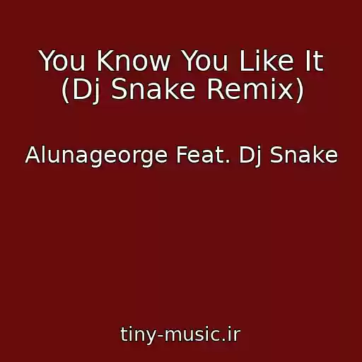 کاور آهنگ You Know You Like It (Dj Snake Remix) از Alunageorge Feat. Dj Snake