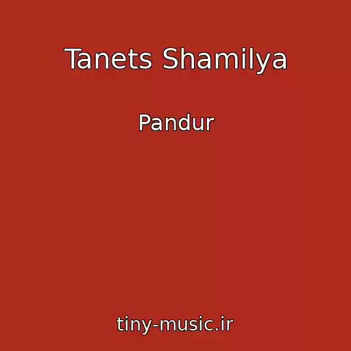کاور آهنگ Tanets Shamilya از Pandur