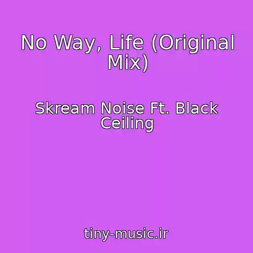 کاور آهنگ No Way, Life (Original Mix) از Skream Noise Ft. Black Ceiling