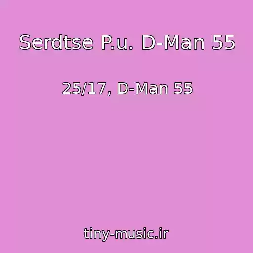 کاور آهنگ Serdtse P.u. D-Man 55 از 25/17, D-Man 55