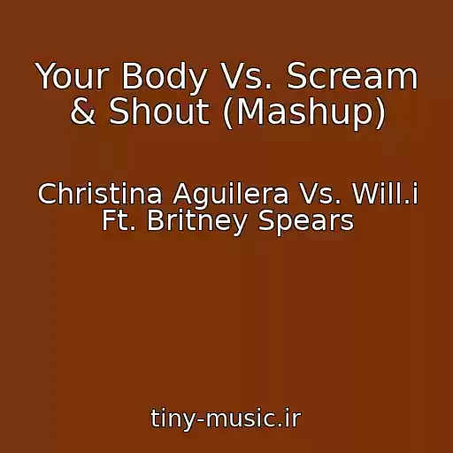 کاور آهنگ Your Body Vs. Scream & Shout (Mashup) از Christina Aguilera Vs. Will.i Ft. Britney Spears