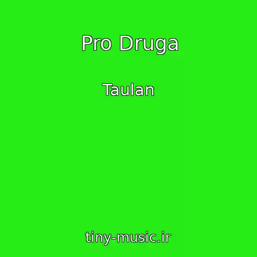 کاور آهنگ Pro Druga از Taulan