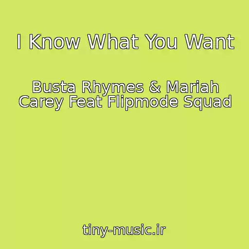 کاور آهنگ I Know What You Want از Busta Rhymes & Mariah Carey Feat Flipmode Squad
