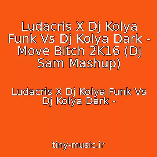 کاور آهنگ Ludacris X Dj Kolya Funk Vs Dj Kolya Dark - Move Bitch 2K16 (Dj Sam Mashup) از Ludacris X Dj Kolya Funk Vs Dj Kolya Dark -