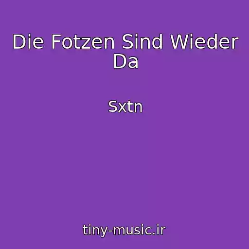 کاور آهنگ Die Fotzen Sind Wieder Da از Sxtn