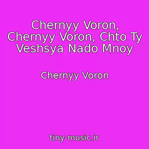 کاور آهنگ Chernyy Voron, Chernyy Voron, Chto Ty Veshsya Nado Mnoy از Chernyy Voron