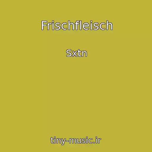 کاور آهنگ Frischfleisch از Sxtn