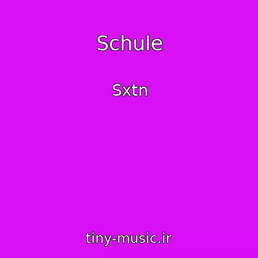 کاور آهنگ Schule از Sxtn