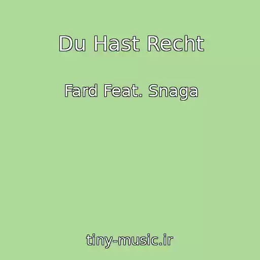 کاور آهنگ Du Hast Recht از Fard Feat. Snaga