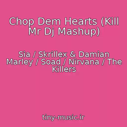 کاور آهنگ Chop Dem Hearts (Kill Mr Dj Mashup) از Sia / Skrillex & Damian Marley / Soad / Nirvana / The Killers