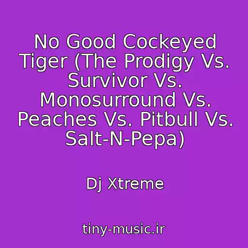 کاور آهنگ No Good Cockeyed Tiger (The Prodigy Vs. Survivor Vs. Monosurround Vs. Peaches Vs. Pitbull Vs. Salt-N-Pepa) از Dj Xtreme