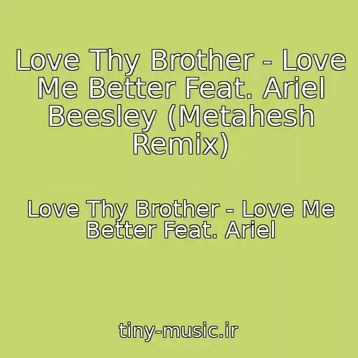 کاور آهنگ Love Thy Brother - Love Me Better Feat. Ariel Beesley (Metahesh Remix) از Love Thy Brother - Love Me Better Feat. Ariel