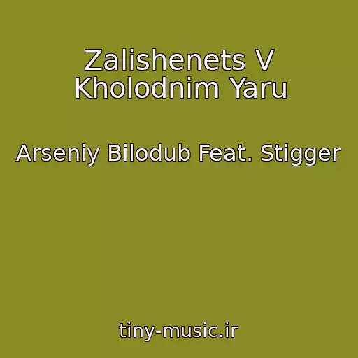 کاور آهنگ Zalishenets V Kholodnіm Yaru از Arsenіy Bіlodub Feat. Stigger
