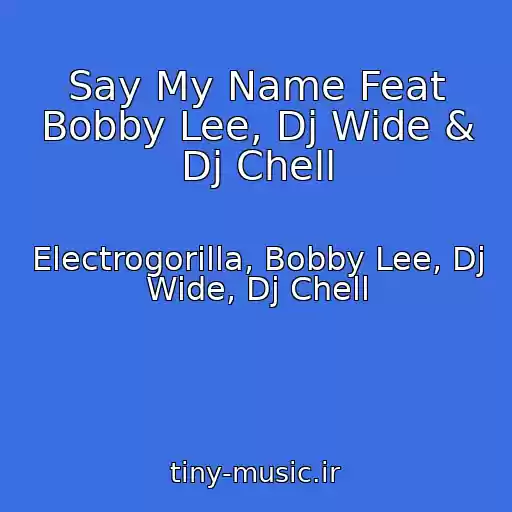 کاور آهنگ Say My Name Feat Bobby Lee, Dj Wide & Dj Chell از Electrogorilla, Bobby Lee, Dj Wide, Dj Chell