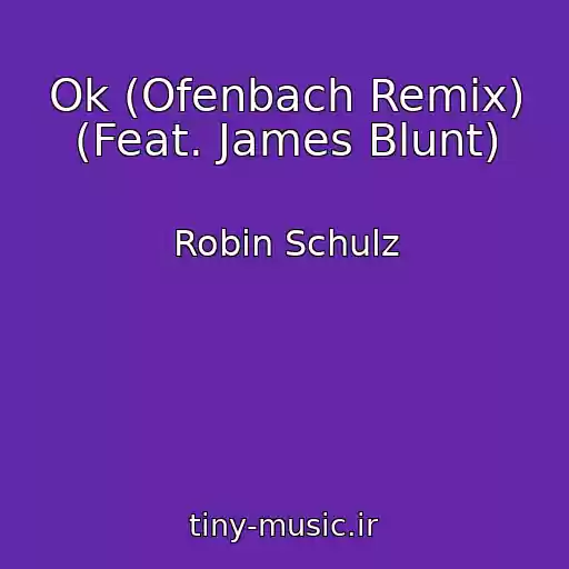 کاور آهنگ Ok (Ofenbach Remix) (Feat. James Blunt) از Robin Schulz