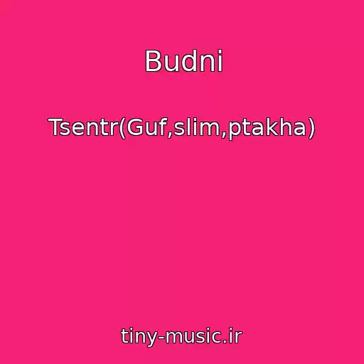 کاور آهنگ Budni از Tsentr(Guf,slim,ptakha)