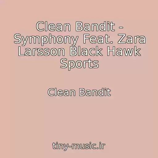 کاور آهنگ Clean Bandit - Symphony Feat. Zara Larsson Black Hawk Sports از Clean Bandit