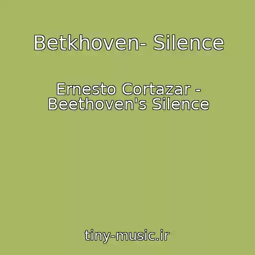 کاور آهنگ Betkhoven- Silence از Ernesto Cortazar - Beethoven's Silence