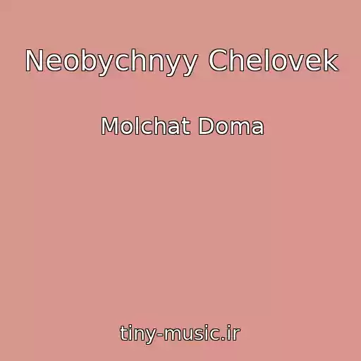 کاور آهنگ Neobychnyy Chelovek از Molchat Doma