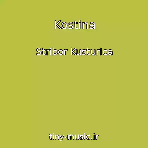 کاور آهنگ Kostina از Stribor Kusturica