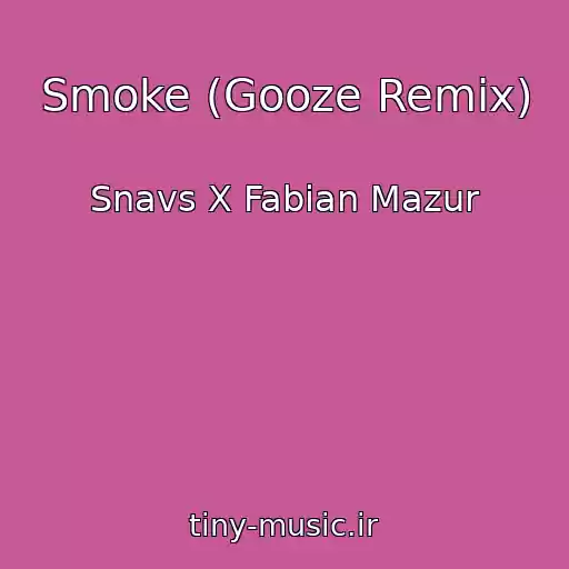 کاور آهنگ Smoke (Gooze Remix) از Snavs X Fabian Mazur