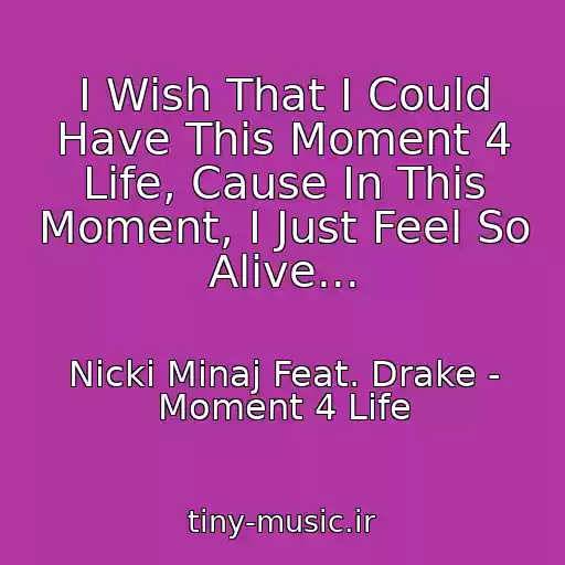 کاور آهنگ I Wish That I Could Have This Moment 4 Life, Cause In This Moment, I Just Feel So Alive... از Nicki Minaj Feat. Drake - Moment 4 Life