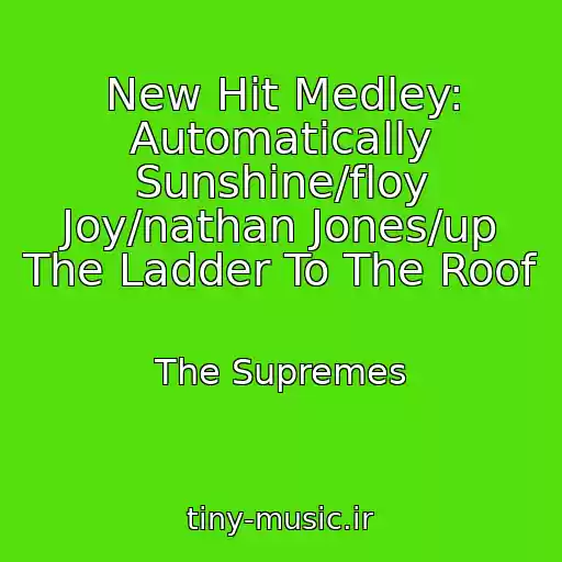 کاور آهنگ New Hit Medley: Automatically Sunshine/floy Joy/nathan Jones/up The Ladder To The Roof از The Supremes