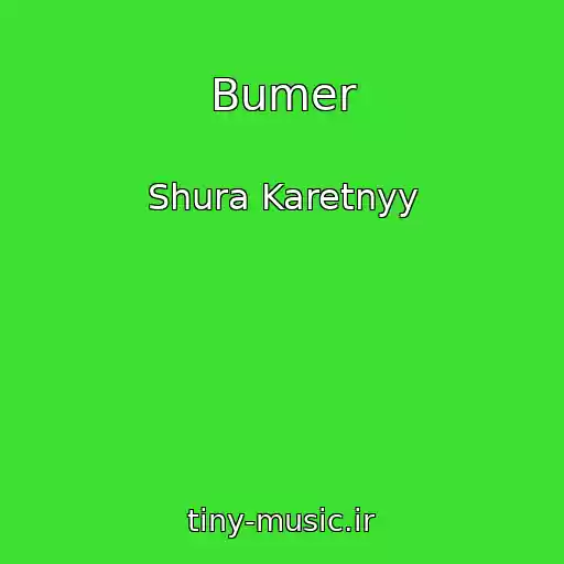 کاور آهنگ Bumer از Shura Karetnyy