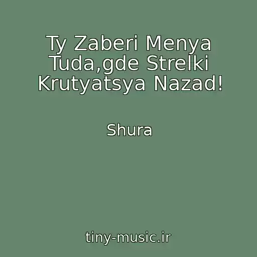 کاور آهنگ Ty Zaberi Menya Tuda,gde Strelki Krutyatsya Nazad! از Shura