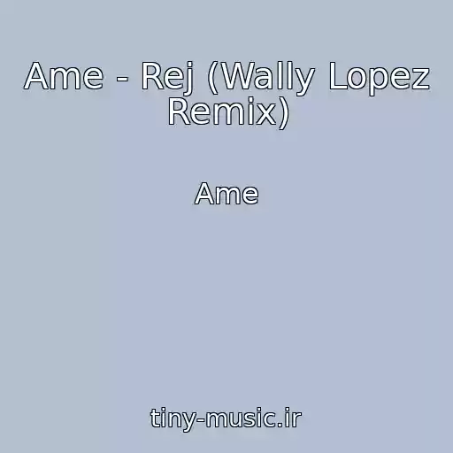 کاور آهنگ Ame - Rej (Wally Lopez Remix) از Ame
