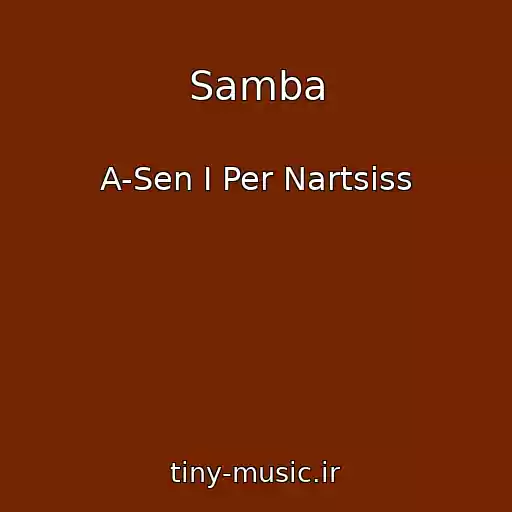 کاور آهنگ Samba از A-Sen I Per Nartsiss