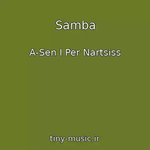 کاور آهنگ Samba از A-Sen I Per Nartsiss