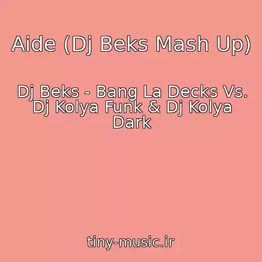 کاور آهنگ Aide (Dj Beks Mash Up) از Dj Beks - Bang La Decks Vs. Dj Kolya Funk & Dj Kolya Dark