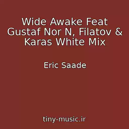 کاور آهنگ Wide Awake Feat Gustaf Nor N, Filatov & Karas White Mix از Eric Saade